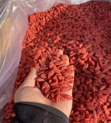 Goji berries bulk packaging