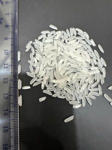 Premium Jasmine Rice Wholesale / private label jasmine rice / jasmine rice wholesale distributor / organic jasmine rice / perfect jasmine rice / organic jasmine rice / purchase jasmine rice / jasmine rice wholesale price / bulk jasmine rice / jasmine rice exporter / jasmine rice container load