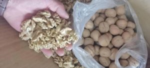 Walnuts varieties at wholesale / walnuts at wholesale price / Inshell and Shelled Walnuts / delicious walnuts for sale / Farm-Fresh Walnuts for Sale / reliable walnut pieces wholesaler / supplier of whole walnuts / Buy wholesale organic walnuts / Premium Walnut Halves wholesale / Buy roasted Walnuts / Unshelled Walnuts for sale
