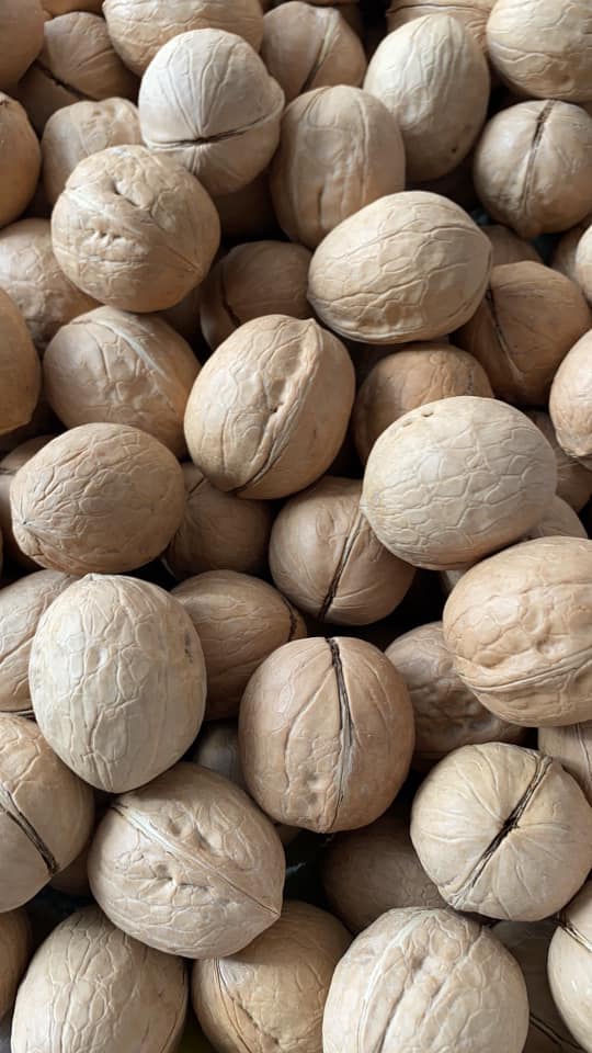 Farm-Fresh Walnuts for Sale